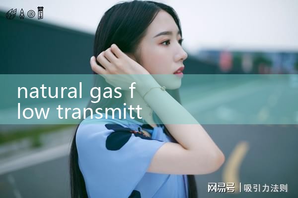natural gas flow transmitter|balo meter