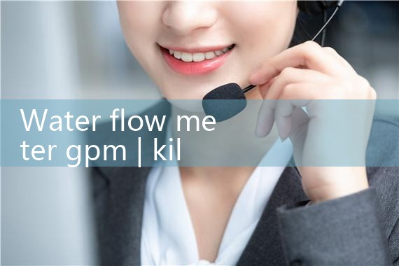 water flow meter gpm|rotameter flow meter