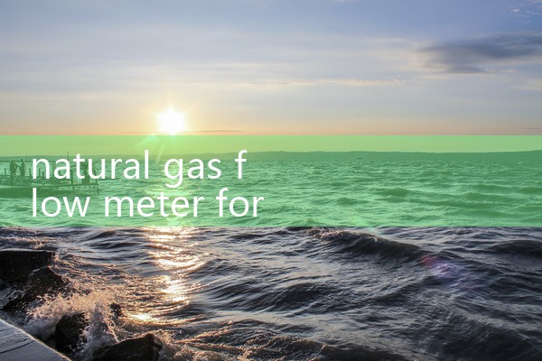 natural gas flow meter for custody transfer|balo meter