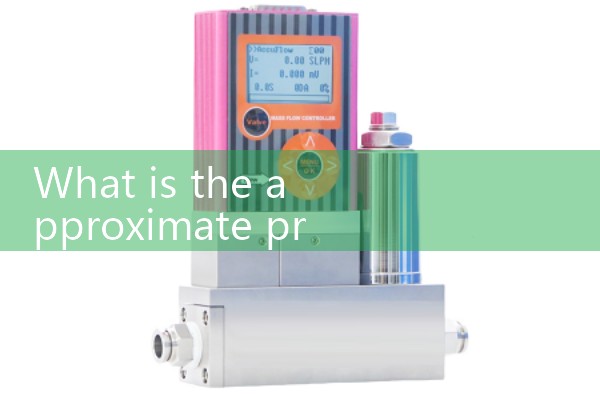 Water treatment flowmeter