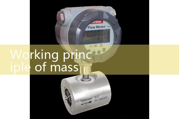 Working principle of mass flowmeter