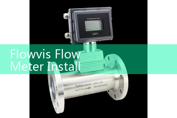 Flowvis Flow Meter Installation for Commercial Pools and Water Features