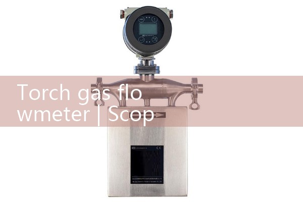 Torch gas flowmeter