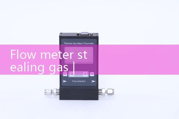 Flow meter gas