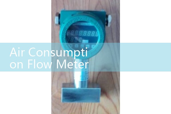 AirLife Asthma Check Peak Flow Meter: Home Respiratory Pulmonary Trackers
