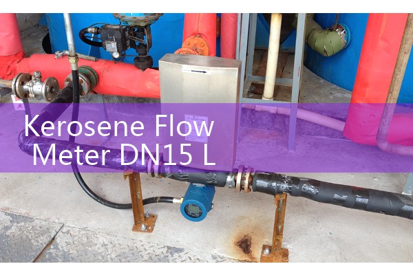 Kerosene Flow Meter DN15 Laboratory Test Stand Sizing