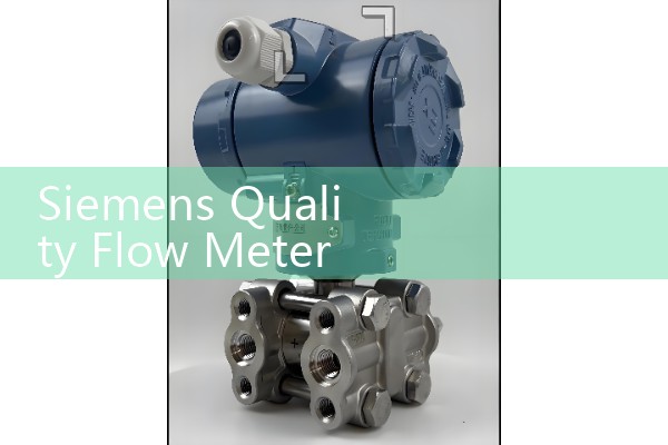 Siemens Quality Flow Meter