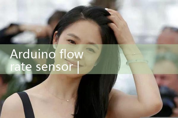 fuel flow sensor|mass flow meter