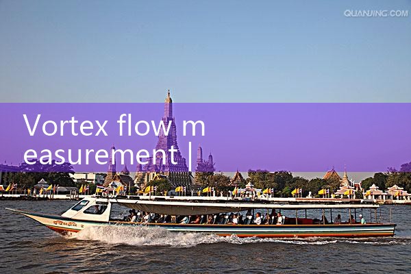 vortex flow measurement|rotameter flow meter