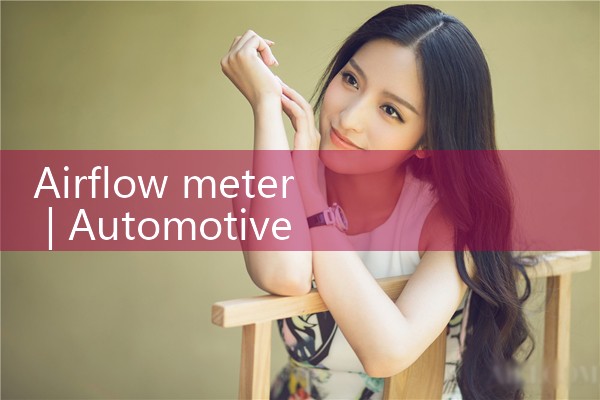 airflow meter|rotameter flow meter
