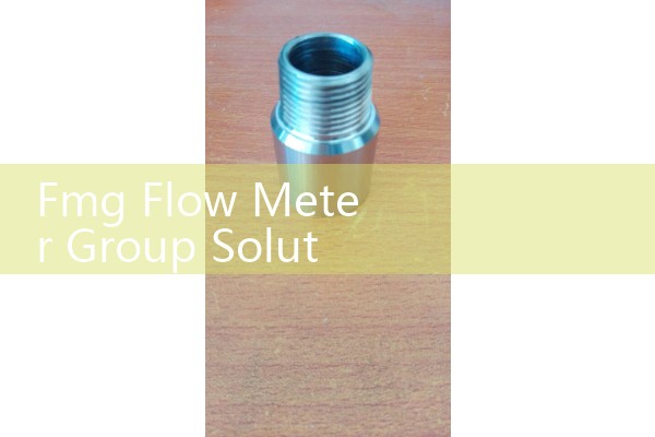 Fmg Flow Meter Group Solutions: Sizing High-Performance Rotary Gas Meters for Municipal Utilities