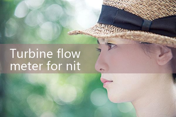 turbine flow meter for nitrogen|mass flow meter