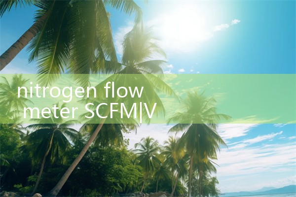 nitrogen flow meter SCFM|flow meter distributor