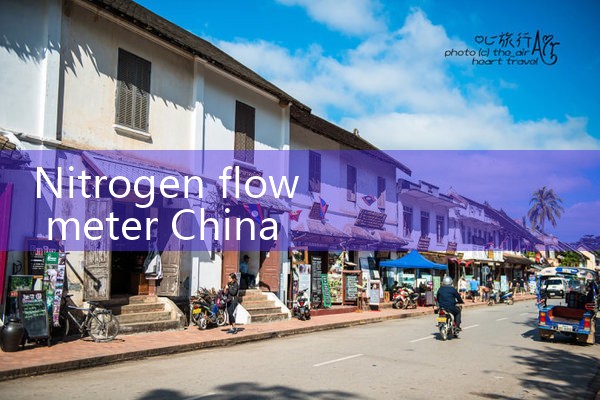 nitrogen flow meter China|flow meter distributor