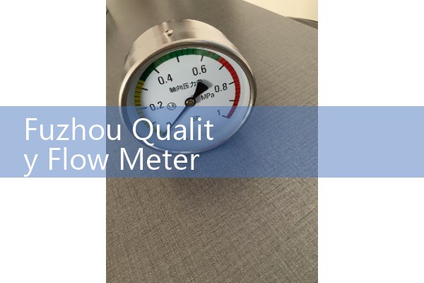 Fuzhou Quality Flow Meter Manufacturer