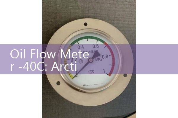 Oil Flow Meter -40C: Arctic Grade Alloy Demands for Outdoor Pipelines