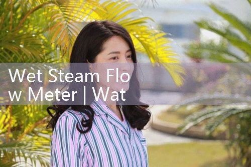 wet steam flow meter|balo meter