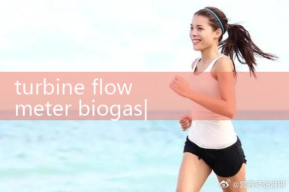 turbine flow meter biogas|flow meter distributor