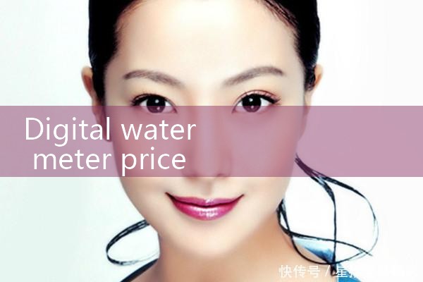 digital water meter price|rotameter flow meter