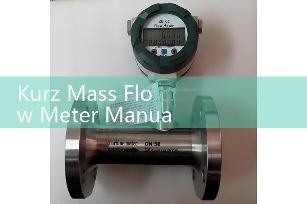 Kurz Mass Flow Meter Manual PDF: Troubleshooting Electronics and Signal Drift Alarms