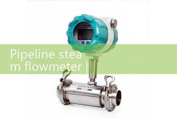 Pipeline steam flowmeter