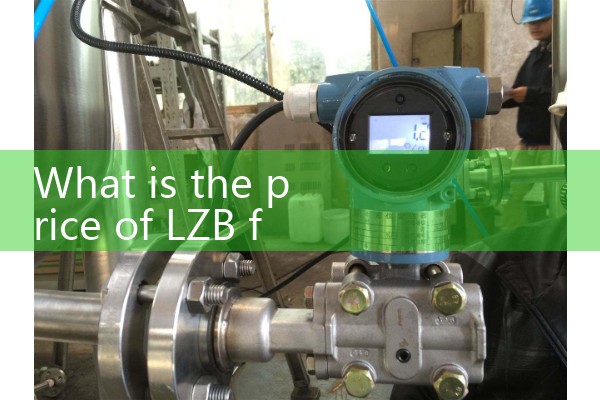 LZB flowmeter