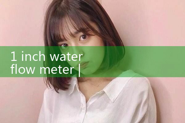 1 inch water flow meter|rotameter flow meter