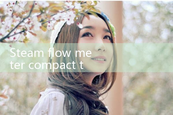 steam flow meter compact type|balo meter