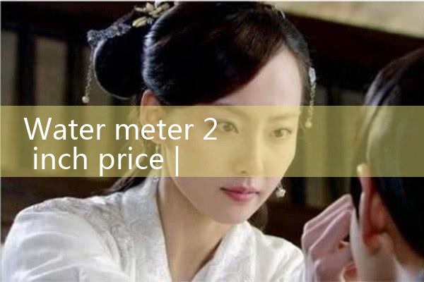 water meter 2 inch price|rotameter flow meter