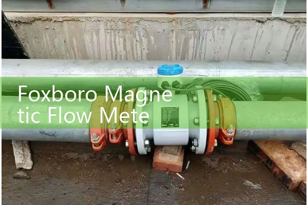 Foxboro Magnetic Flow Meter Manual PDF: Grounding Rings and Terminal Wiring Diagrams
