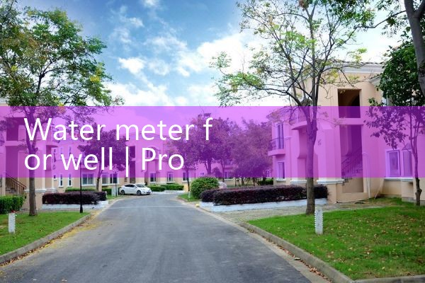 water meter for well|rotameter flow meter