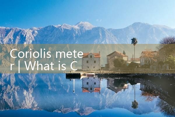 coriolis meter|rotameter flow meter
