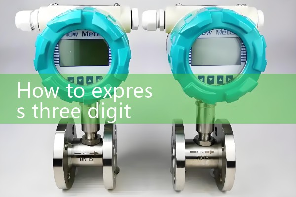 3 inch water meter