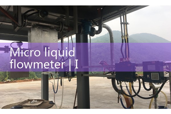 Micro liquid flowmeter