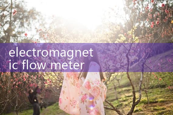 electromagnetic flow meter for slurry|rotameter flow meter