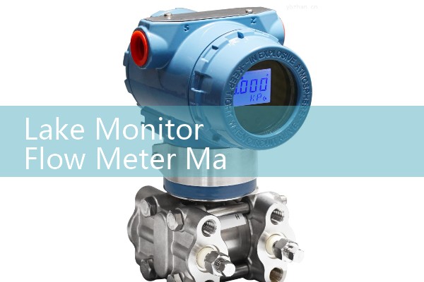 Lake Monitor Flow Meter Manual: Troubleshooting Mechanical Scale Sticking in Oil Lines