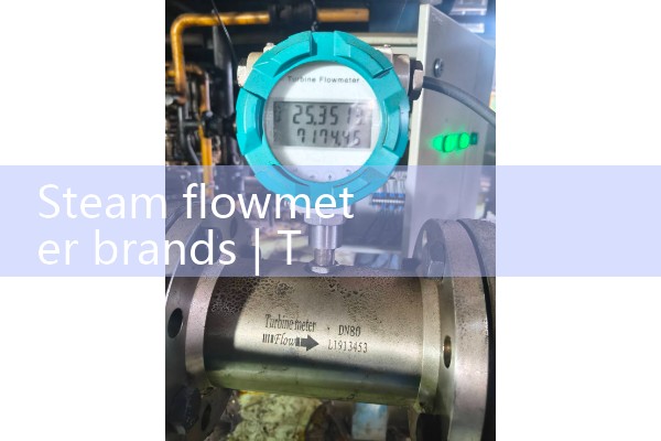 Steam flowmeter brand