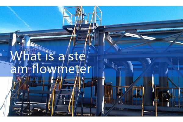 Flow meter for measuring steam