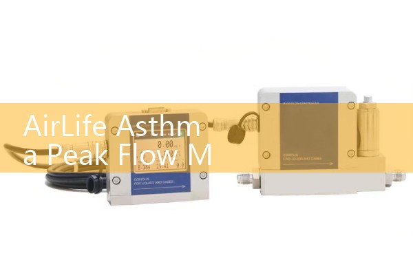 AirLife Asthma Peak Flow Meter: Managing Daily Expiratory Target Ranges