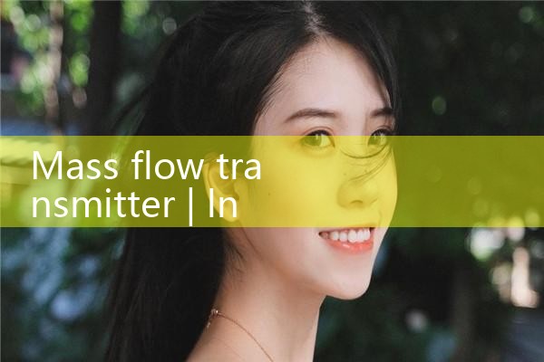 mass flow transmitter|gas flow meter