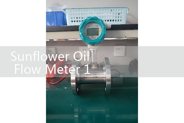Sunflower Oil Flow Meter 1 Inch: Easy Integration for Compact Food Processing Skids