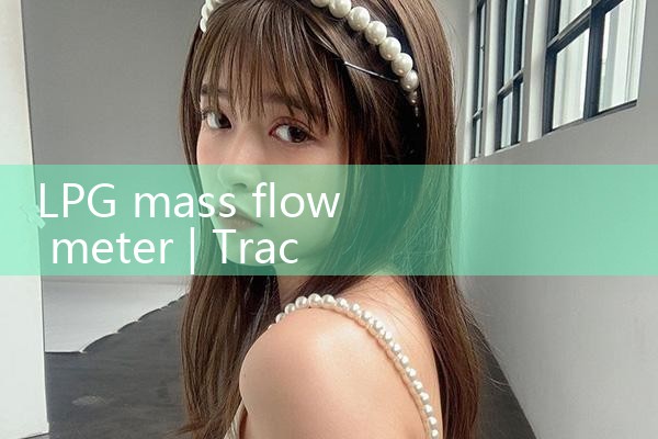 LPG mass flow meter|gas flow meter