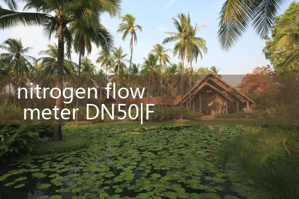 nitrogen flow meter DN50|flow meter distributor