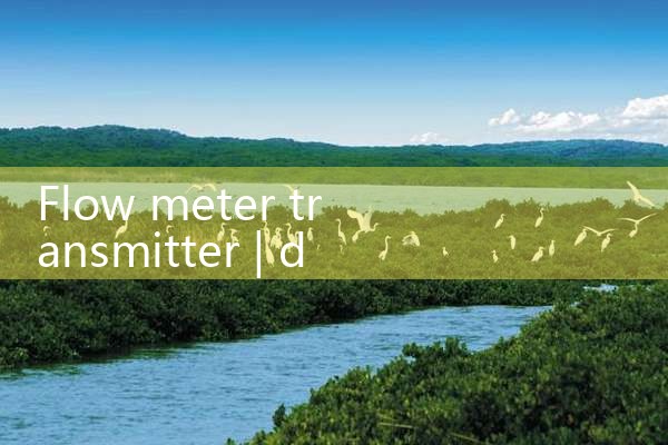 flow meter transmitter|rotameter flow meter