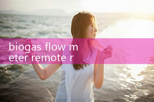 biogas flow meter remote reading|flow meter distributor