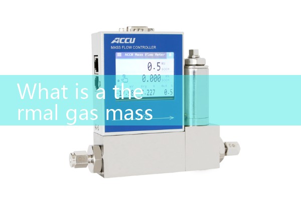 Thermal gas mass flowmeter kurz