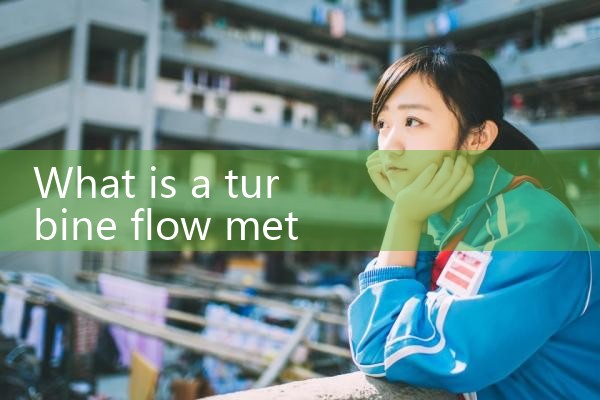 turbine flow meter for natural gas|mass flow meter