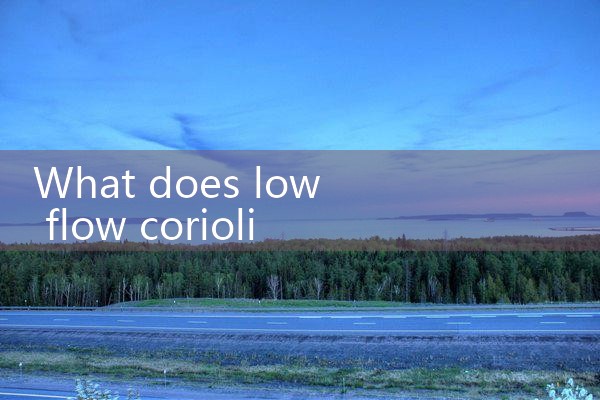 low flow coriolis meter|gas flow meter