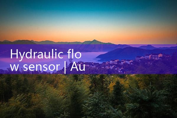 hydraulic flow sensor|mass flow meter