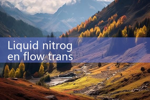 liquid nitrogen flow transmitter|flow meter distributor